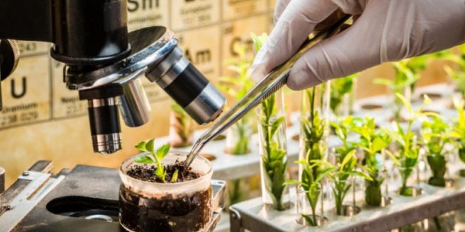 La clé de l'agriculture durable : valoriser la biodiversité microbienne