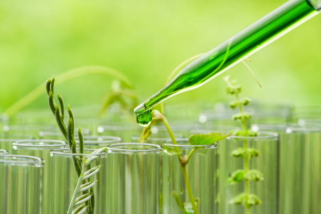 StarFish BioScience, leader de la biotechnologie AgTech